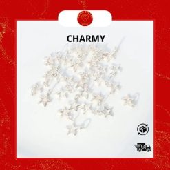 charm-bac-moon-silver